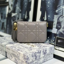 DIOR 2024SS Color card case perfect for early spring