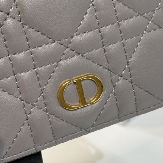 DIOR 2024SS Color card case perfect for early spring DIOR 2024SS Color card case perfect for early spring