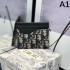 DIOR 2024SS Most Popular Product Card Case