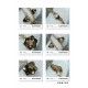 Spring/Summer Super Popular Limited Collaboration 2024SS Necklace PIAGET Spring/Summer Super Popular Limited Collaboration 2024SS Necklace PIAGET
