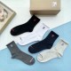 2024SS Socks BURBERRY Burberry's ever-popular standard product 2024SS Socks BURBERRY Burberry's ever-popular standard product