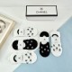 2024SS socks CHANEL Recommended item for daily use 2024SS socks CHANEL Recommended item for daily use
