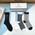 2024SS Socks CHANEL Highly used by fashionable people