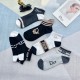 2024SS socks DIOR Dior will be this year's latest trend 2024SS socks DIOR Dior will be this year's latest trend