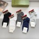 2024SS socks GUCCI Gucci New following the previous season 2024SS socks GUCCI Gucci New following the previous season