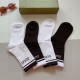 2024SS socks GUCCI Gucci New item perfect for early spring and summer 2024SS socks GUCCI Gucci New item perfect for early spring and summer
