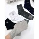 2024SS socks GUCCI Gucci Wear with a beautiful impression 2024SS socks GUCCI Gucci Wear with a beautiful impression