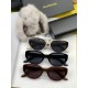 BALENCIAGA Balenciaga 2024SS sunglasses new product ☆ inevitable to be sold out BALENCIAGA Balenciaga 2024SS sunglasses new product ☆ inevitable to be sold out