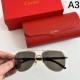CARTIER Cartier 2024SS Sunglasses Summer color not available in Japan CARTIER Cartier 2024SS Sunglasses Summer color not available in Japan
