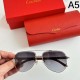 CARTIER Cartier 2024SS Sunglasses Summer color not available in Japan CARTIER Cartier 2024SS Sunglasses Summer color not available in Japan