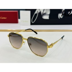 2024FW Sunglasses CARTIER Cartier Relaxed item