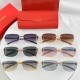 2024FW Sunglasses CARTIER Cartier Popular brand this season too 2024FW Sunglasses CARTIER Cartier Popular brand this season too