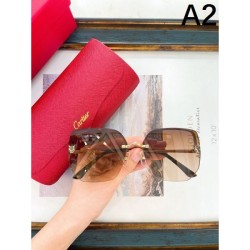2024FW Sunglasses CARTIER Cartier Personal Styling