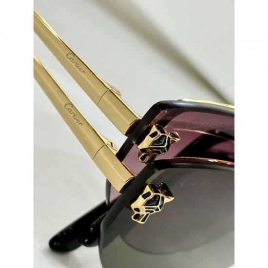2024FW Sunglasses CARTIER Cartier classic street style 2024FW Sunglasses CARTIER Cartier classic street style