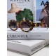 CELINE 2024SS Sunglasses Stylish protection against summer UV rays CELINE 2024SS Sunglasses Stylish protection against summer UV rays
