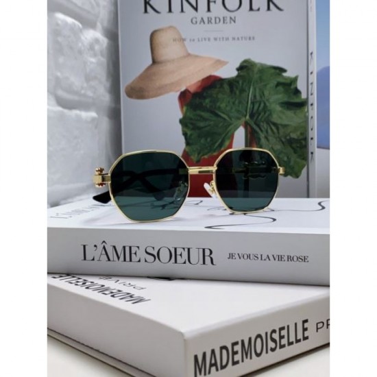 CELINE 2024SS Sunglasses Celebrities Get This Season CELINE 2024SS Sunglasses Celebrities Get This Season