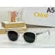 2024FW Sunglasses CELINE CELINE Active during the change of seasons 2024FW Sunglasses CELINE CELINE Active during the change of seasons