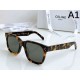 2024FW Sunglasses CELINE Celine Popular New Brand Item 2024FW Sunglasses CELINE Celine Popular New Brand Item