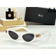 2024FW Sunglasses DIOR Enjoy the latest fall styles 2024FW Sunglasses DIOR Enjoy the latest fall styles