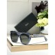 2024FW Sunglasses DIOR Dior Street wear 2024FW Sunglasses DIOR Dior Street wear