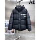 BALENCIAGA Fall/Winter 2025 Down Jacket Elegant and sophisticated winter style