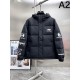 BALENCIAGA 2025 Fall/Winter Down Jacket Hot item not yet available in Japan