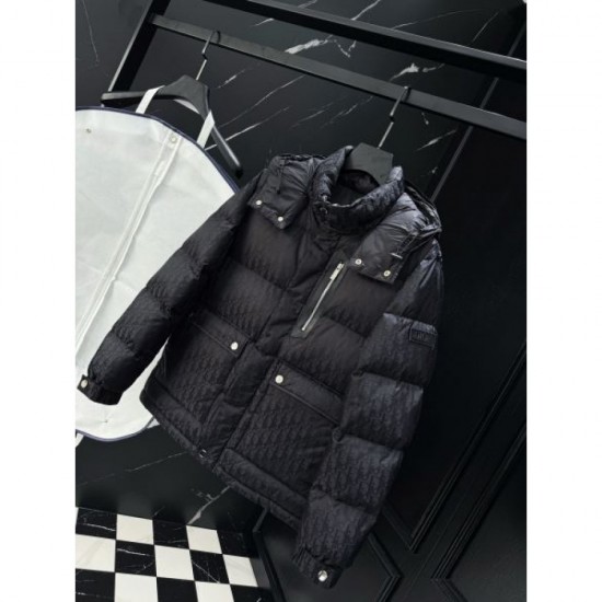 2025FW DIOR Dior Must-have item this season Down jacket