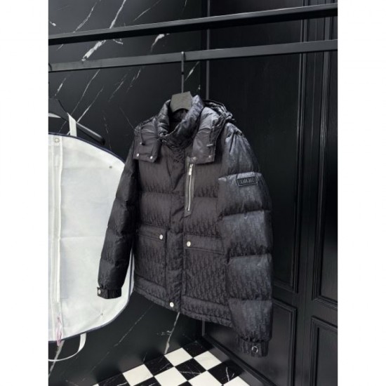2025FW DIOR Dior Must-have item this season Down jacket