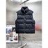 LOUIS VUITTON 2025 Fall/Winter Down Jacket New Limited Model First come, first served