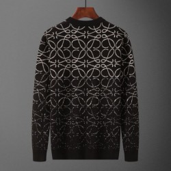 2025FW Sweater LOEWE A perfect item for the fall and winter season