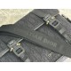 DIOR Shoulder Bag 2025SS Show off with a delicate design that is typical of spring