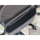 DIOR Shoulder Bag 2025SS Show off with a delicate design that is typical of spring