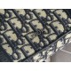 DIOR Shoulder Bag 2025SS This spring and summer's best item is now available DIOR Shoulder Bag 2025SS This spring and summer's best item is now available