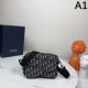 DIOR Shoulder Bag 2025SS A stylish item essential for summer