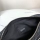 DIOR Shoulder Bag 2025SS A stylish item essential for summer