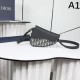 2025FW Shoulder Bag DIOR Dior A luxurious bag with great popularity 2025FW Shoulder Bag DIOR Dior A luxurious bag with great popularity
