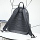 2025FW Backpack DIOR Dior Luxury bag that pursues the latest trends 2025FW Backpack DIOR Dior Luxury bag that pursues the latest trends