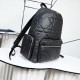 2025FW Backpack DIOR Dior Luxury bag that pursues the latest trends 2025FW Backpack DIOR Dior Luxury bag that pursues the latest trends