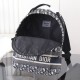 2025FW Backpack DIOR Dior Fashionable items that add new charm 2025FW Backpack DIOR Dior Fashionable items that add new charm