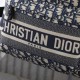 2025FW Backpack DIOR Dior Fashionable items that add new charm 2025FW Backpack DIOR Dior Fashionable items that add new charm