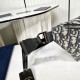 2025FW Waist Bag DIOR Autumn/Winter Must-Handed New Product that Needs a Must-Purchase