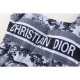 DIOR 2025SS Swimsuit for elegant casual outfits DIOR 2025SS Swimsuit for elegant casual outfits