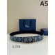 2025FW High Quality Belt DIOR Dior A relaxed item, trendy design
