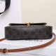CELINE 2025FW New Luxury Tote Bag for Women Popular Stylish Large Capacity CELINE 2025FW New Luxury Tote Bag for Women Popular Stylish Large Capacity
