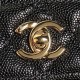 2025FW CHANEL Women's Tote Bag A must-have item this winter