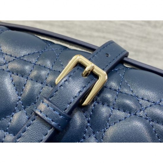 2025SS Tote Bag DIOR Recommended for the best value for money 2025SS Tote Bag DIOR Recommended for the best value for money