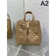 2025SS Tote Bag DIOR Dior Favorite among celebrities and celebrities 2025SS Tote Bag DIOR Dior Favorite among celebrities and celebrities