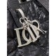 2025SS Tote Bag DIOR Dior Favorite among celebrities and celebrities 2025SS Tote Bag DIOR Dior Favorite among celebrities and celebrities