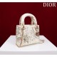 2025SS Tote Bag DIOR Dior A seasonal, popular new product 2025SS Tote Bag DIOR Dior A seasonal, popular new product