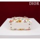 2025SS Tote Bag DIOR Dior A popular item for foreign celebrities 2025SS Tote Bag DIOR Dior A popular item for foreign celebrities